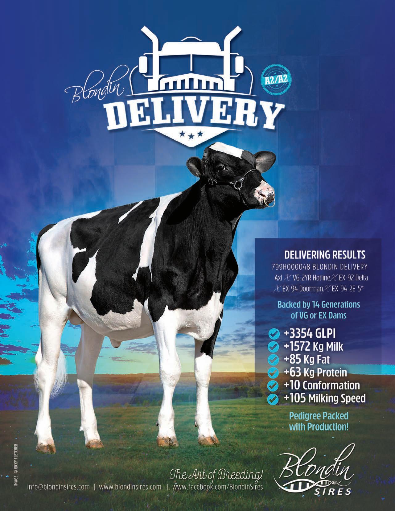 DELIVERY — 799HO00048